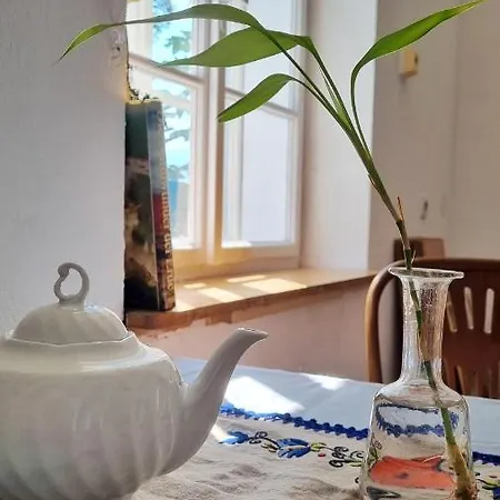 Strasser's Mountain Apartmán Ramsau am Dachstein