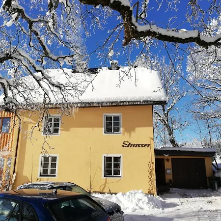 Strasser's Mountain * Ramsau am Dachstein